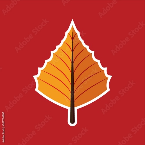 aspen leaf