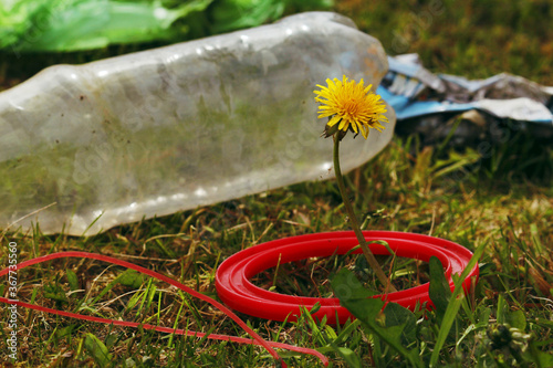 Saving the planet Earth nature and environment from pollution of plastic. dandelion sprout and bottle on the green grass