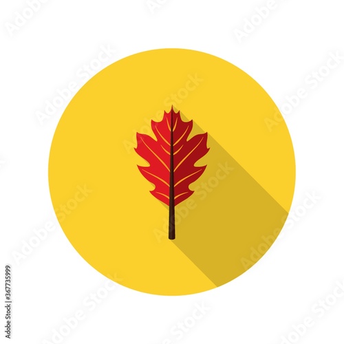autumn leaf