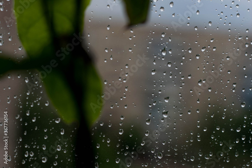 Raindrops on the window pane slowly flowing down