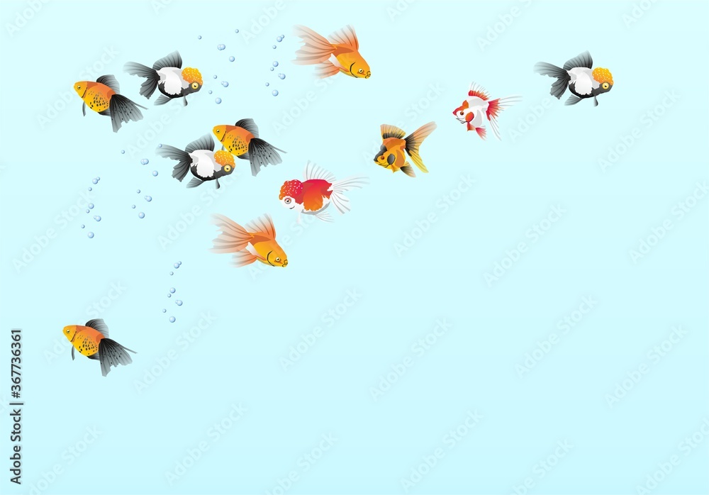 Fototapeta premium tropical fish against blue background