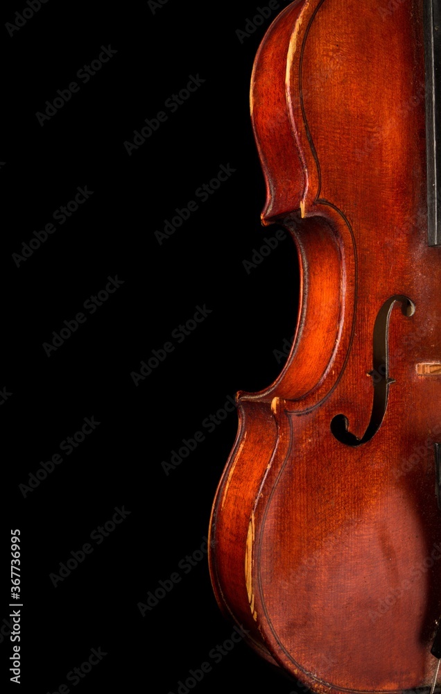 Detail of a Violin, Isolated on Black