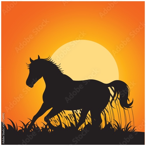 silhouette of horse running