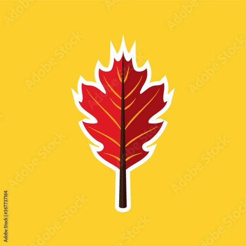 autumn leaf