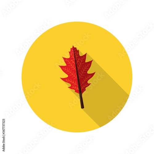 autumn leaf