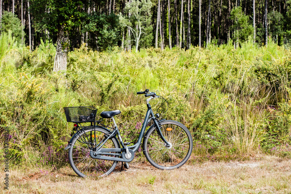 pretty landscape with a bicycle on the edge of the forest