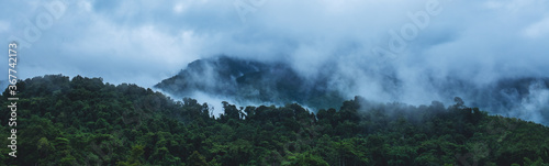 Landscape image of foggy greenery rainforest mountains and hills © Farknot Architect