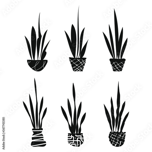 Flower leaf grass petals pot logo icon sign silhouette Hand drawn Doodle design Modern floristic natural style Fashion print clothes apparel greeting invitation card cover room banner poster website