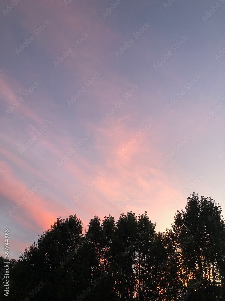 Fototapeta premium pastel sunrise