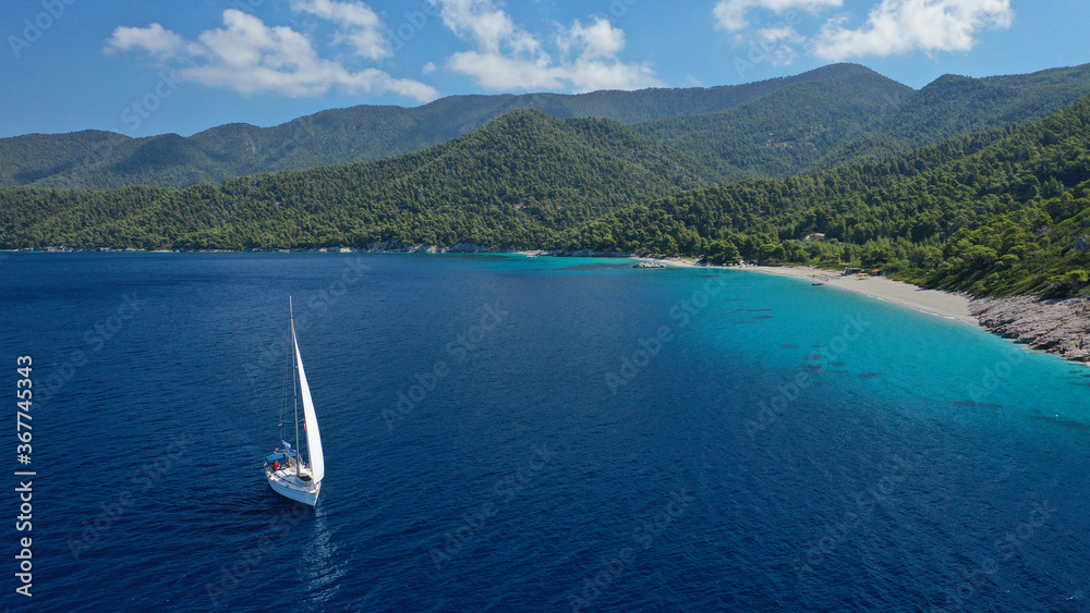 Aerial drone photo of sailing boat cruising near famous turquoise paradise beach of Milia covered with pine trees, Skopelos island, Sporades, Greece