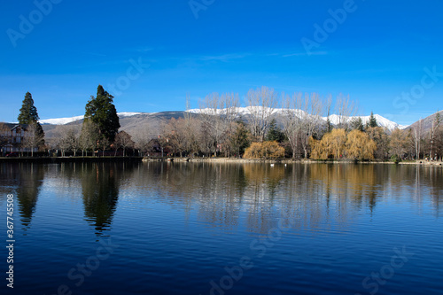 reflection of trees in lake