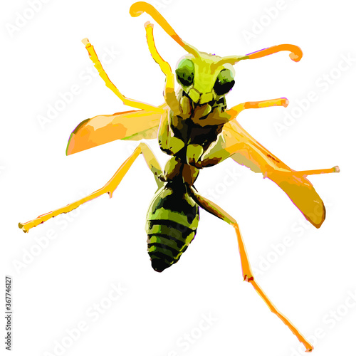 Bee Happy isolated from bottom view
