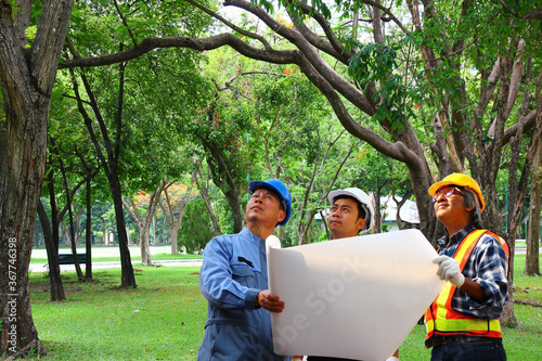 group of environment engineer visiting the area site following restore green area project