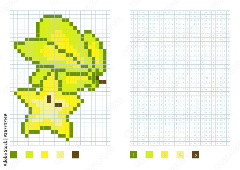 Fototapeta premium Pixel carambola in the coloring page with numbered squares, vector illustration