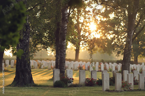 orderly arranged tombstones of a war cemetary illuminated by peaceful morning sun shining through big trees