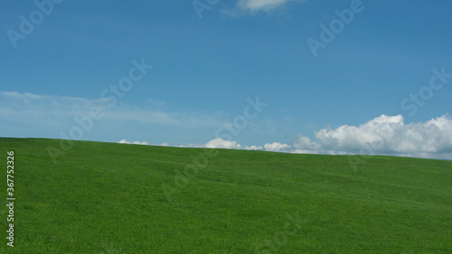 green field and blue sky © hoshi
