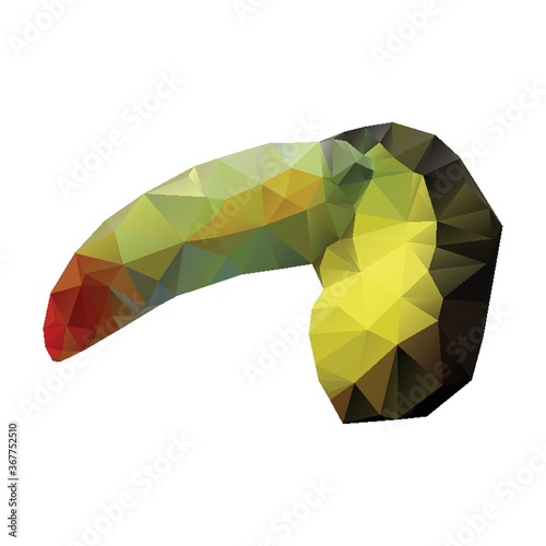 toucan
