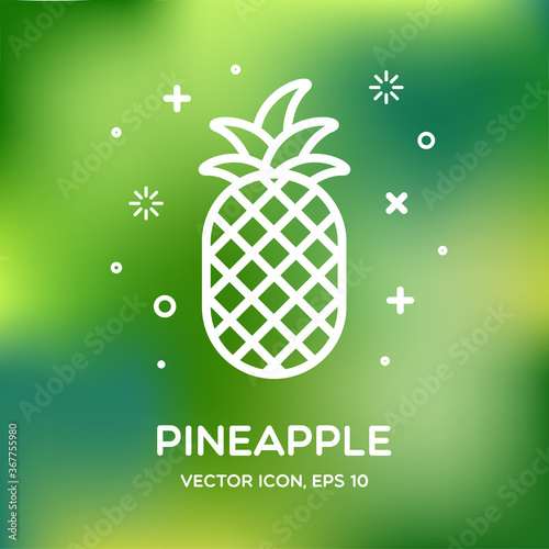 Outline pineapple icon for covers, placards, posters, flyers and banner designs. Eps10 vector template. Simple logotype icon. Summer badges, symbol and labels. Vector illustration