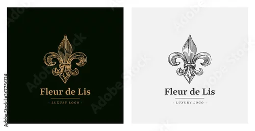 Obraz Elegant luxury Fleur de Lis Vector