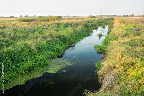 A small river with grasses on the bank, meadows and horizon