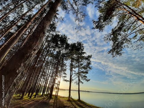 sanatorium area with forest at baltic  sea region photo