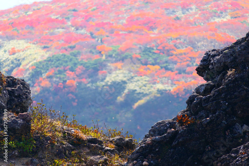 栗駒国定公園、紅葉の栗駒山。栗原、宮城、日本。10月上旬。