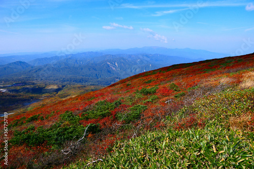 栗駒国定公園、紅葉の栗駒山。栗原、宮城、日本。10月上旬。 © 義美 前田
