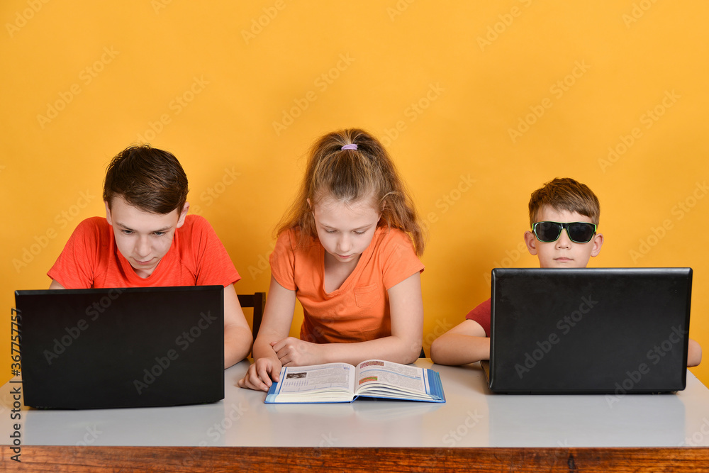 Children are schooled at home, two boys are sitting at a laptop, a girl is reading books. Children are schooled at home, two boys are sitting at a laptop, a girl is reading books.