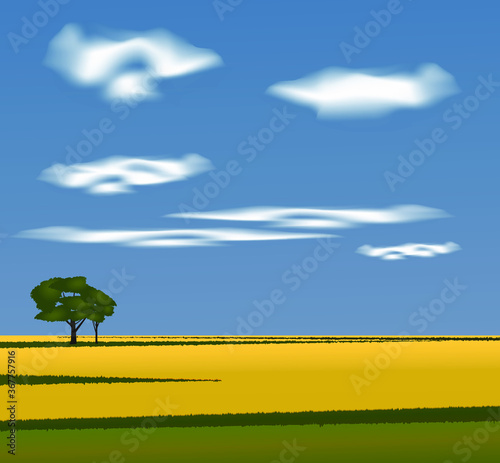 Landscape sunny field, two trees against a clear blue sky. Vector illustration