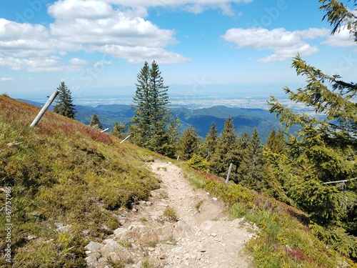 Bild auf Leinwand Toller schmaler Wanderweg auf einem Berg mit Aussicht