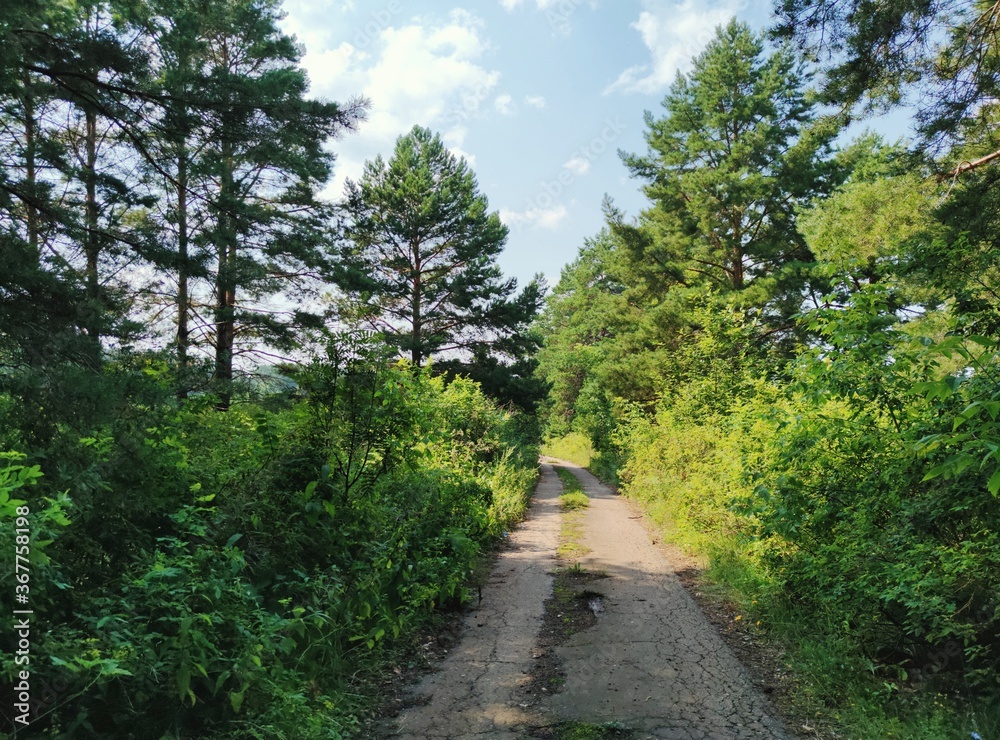 old road among green bushes and trees against the blue sky on a sunny day old road among green bushes and trees against the blue sky on a sunny day