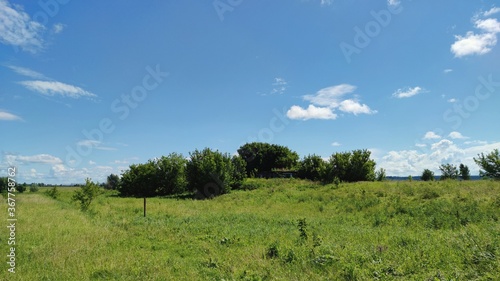 blue sky over green field on sunny day in panoramic scene