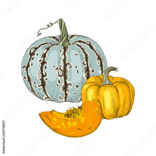 Hand drawn fall pumpkins