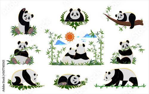 Panda collection with bamboo, clouds and sun in asian style