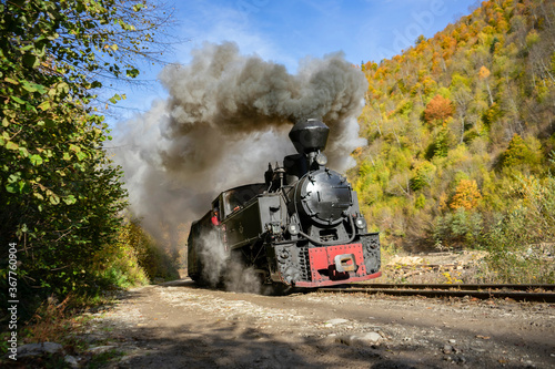 Fotografie, Obraz Autumn steam train from Romania - Mocanita Maramures