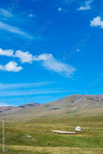 Yurt and sheep herd, Ile-Alatau National Park, Assy Plateau, Almaty, Kazakhstan, Central Asia photo