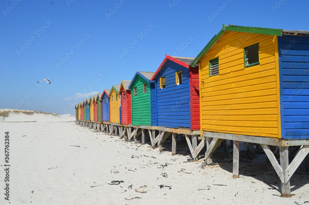 Naklejka premium Colorful beach huts on Muizenberg beach in Cape Town South Africa