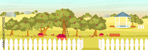 Apple garden flat color vector illustration