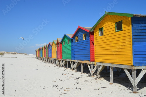 Colorful beach huts on Muizenberg beach in Cape Town South Africa © ChrisOvergaard