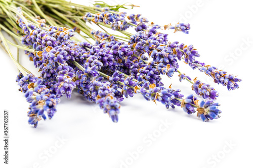 Lavender flowers isolated on white background. Close up. Space for text