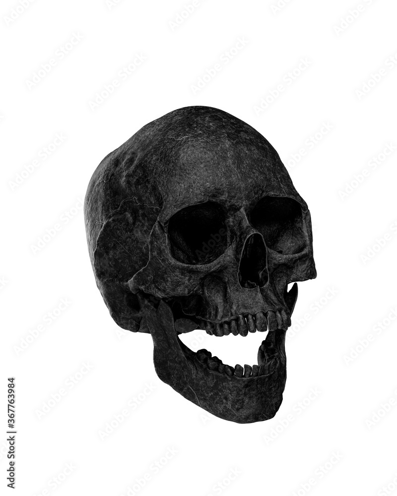 Obraz premium Black Human Skull Isolated on white background
