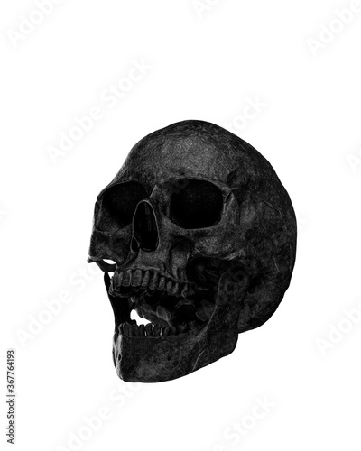 Black Human Skull Isolated on white background