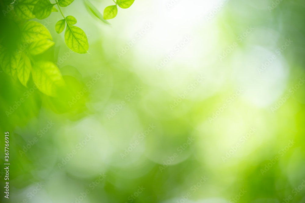 Nature of green leaf in garden at summer. Natural green leaves plants using as spring background cover page greenery environment ecology wallpaper