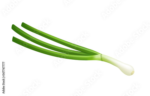 Spring green onion on white background, green vegetables, onion flavor.