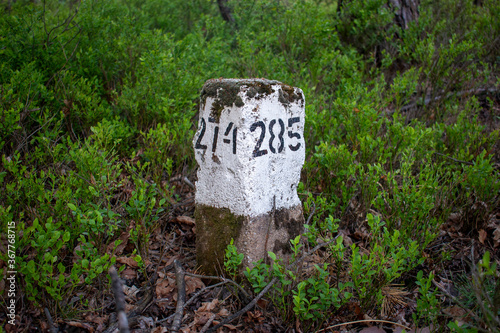 Trail sign in the forest. Stone trail / border sign with number. Cartographic sign