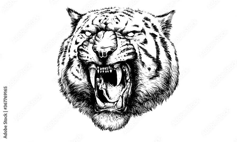 Obraz premium Tiger Head
