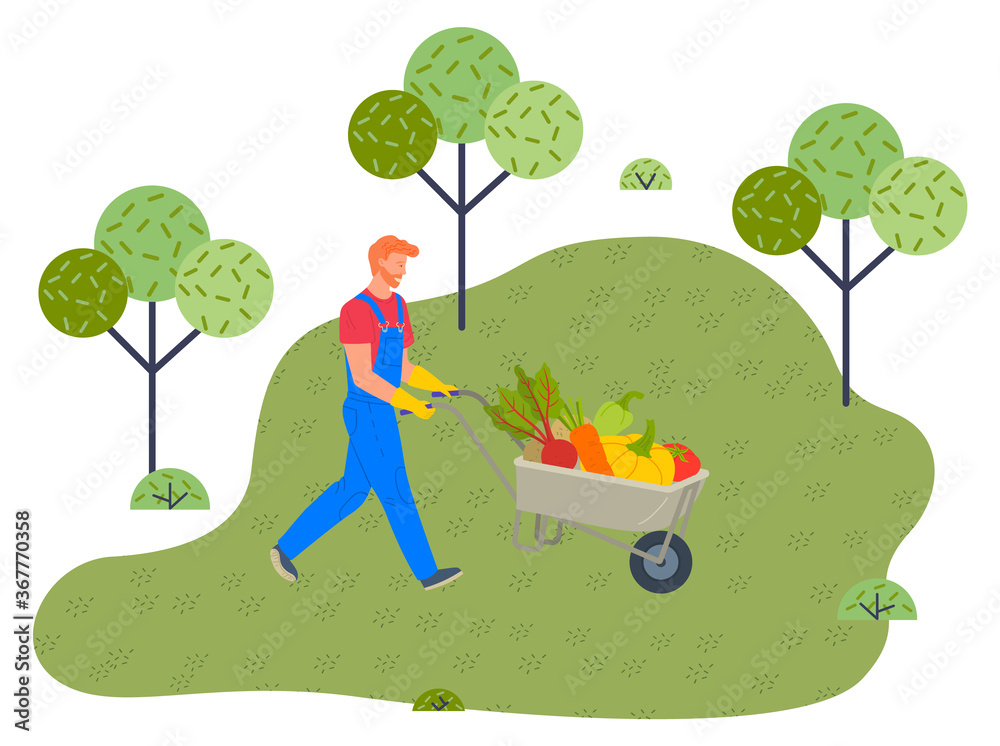 Φωτογραφία Man wearing overalls and ruber gloves pushing wheelbarrow full of fresh eco organic vegetables, autumn crop