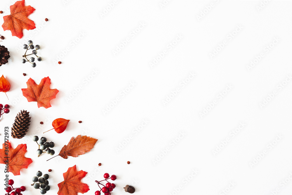 Fototapeta Autumn composition. Frame made of flowers, maple leaves, berries on white background. Autumn, fall, thanksgiving day concept. Flat lay, top view