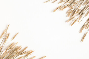 Autumn composition. Wheat ears on white background. Autumn, fall, thanksgiving day concept. Flat lay, top view