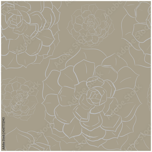 Seamless brown pattern echeveria contour illustration plant